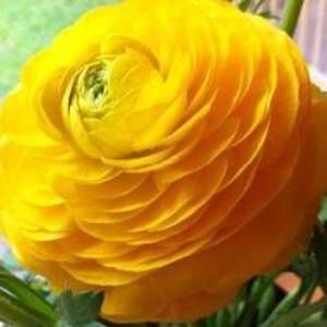 Meet your Posher, Melinda